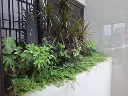 Henry Park (D10), Terrace #535350301